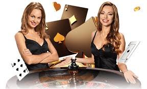 1555bet